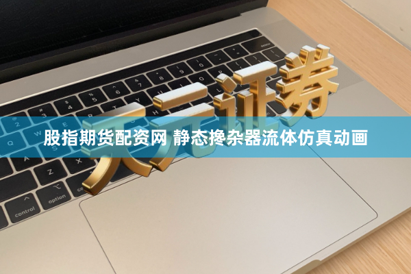 股指期货配资网 静态搀杂器流体仿真动画