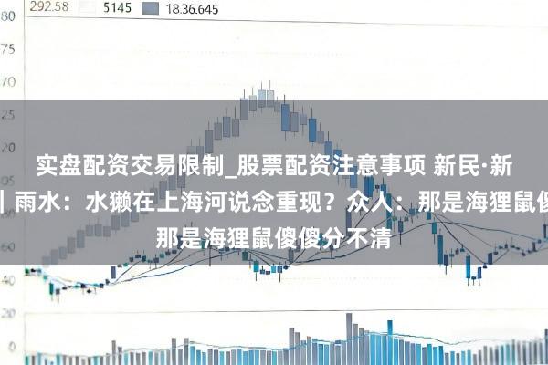 实盘配资交易限制_股票配资注意事项 新民·新七十二候｜雨水：水獭在上海河说念重现？众人：那是海狸鼠傻傻分不清