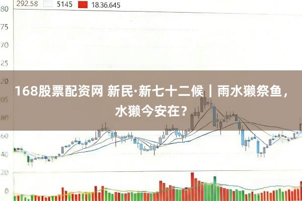 168股票配资网 新民·新七十二候｜雨水獭祭鱼，水獭今安在？