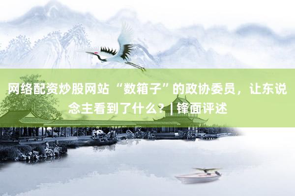 网络配资炒股网站 “数箱子”的政协委员，让东说念主看到了什么？| 锋面评述
