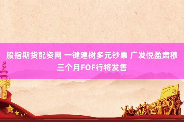 股指期货配资网 一键建树多元钞票 广发悦盈肃穆三个月FOF行将发售