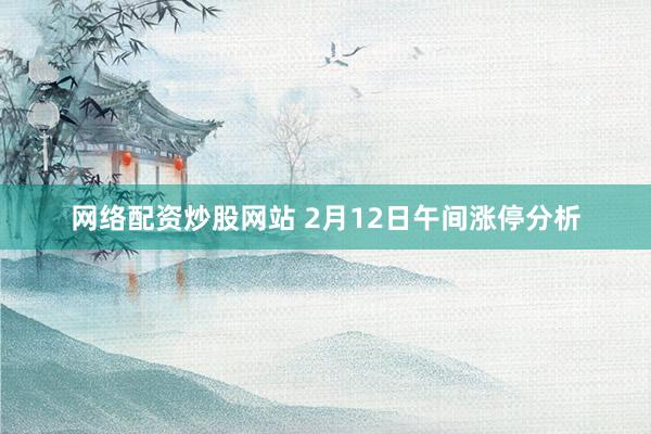 网络配资炒股网站 2月12日午间涨停分析