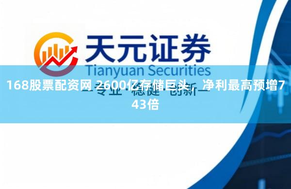 168股票配资网 2600亿存储巨头，净利最高预增743倍